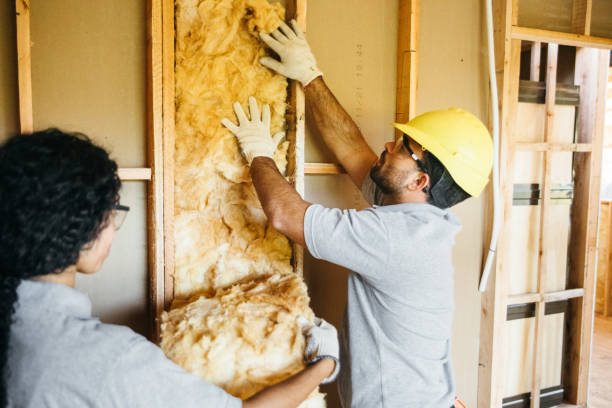 Professional Insulation in White Sulphur Springs, MT